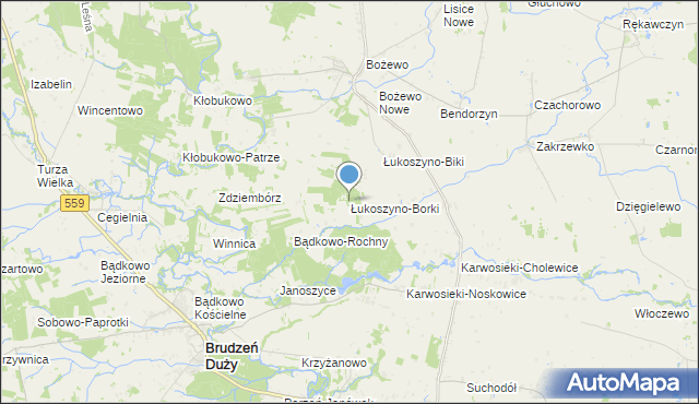 mapa Łukoszyno-Borki, Łukoszyno-Borki na mapie Targeo